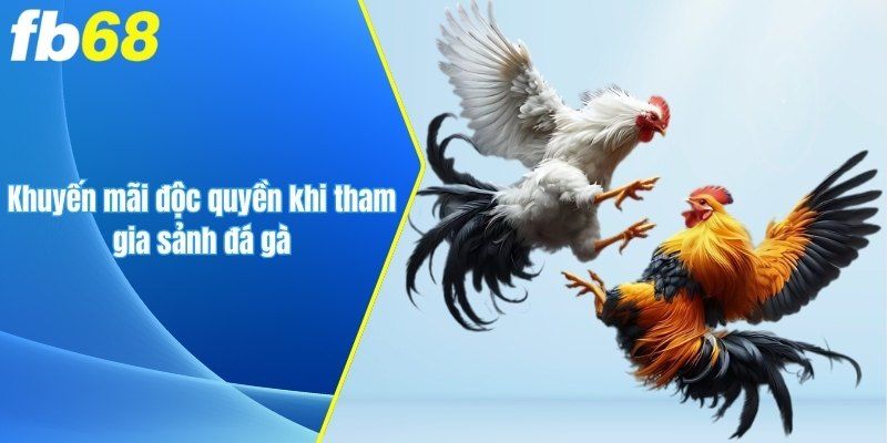 Khuyến mãi độc quyền khi tham gia sảnh cược