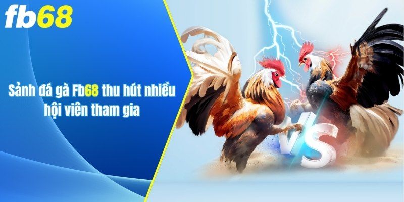 Sảnh đá gà tại FB68 thu hút nhiều hội viên tham gia